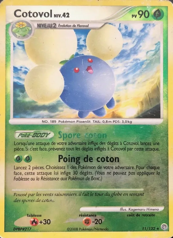 Cotovol Merveilles Secrètes 11/132