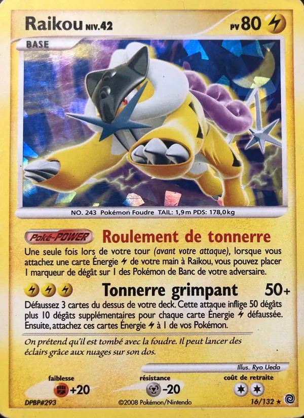 Raikou Merveilles Secrètes 16/132