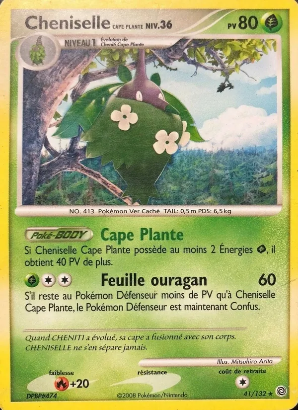 Cheniselle Cape Plante Merveilles Secrètes 41/132