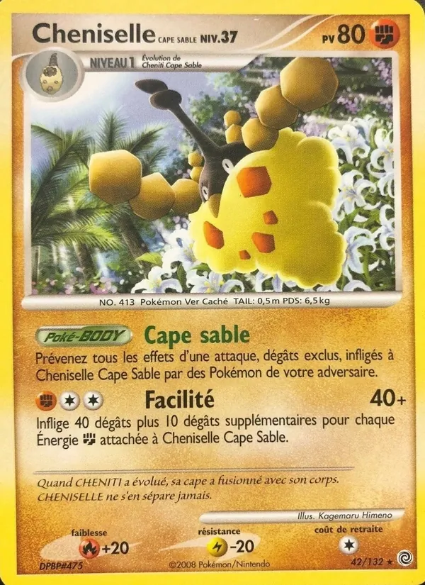 Cheniselle Cape Sable Merveilles Secrètes 42/132