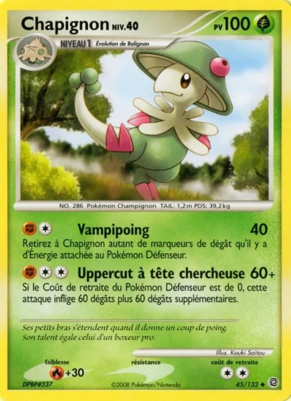 Chapignon Merveilles Secrètes 45/132