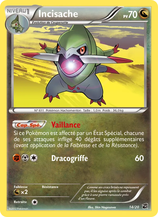 Incisache Coffre des Dragons 14/20