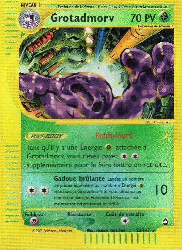 Grotadmorv Aquapolis 23/147