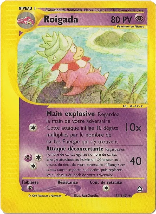 Roigada Aquapolis 34/147