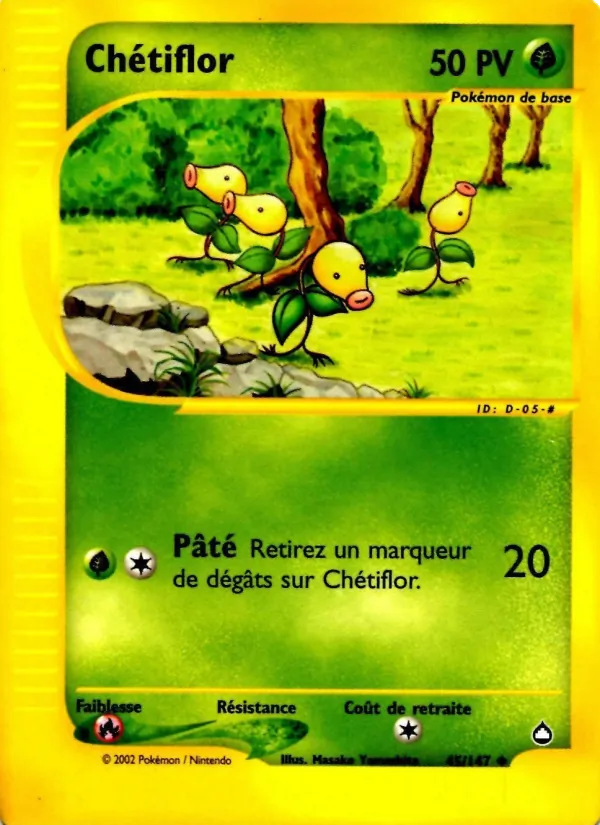 Chétiflor Aquapolis 45/147