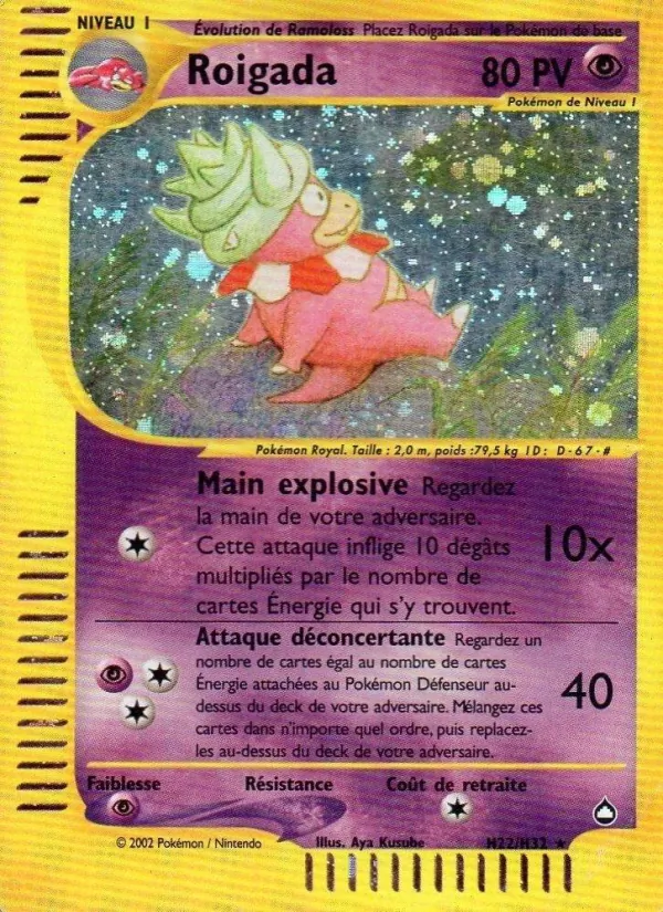 Roigada Aquapolis H22/147