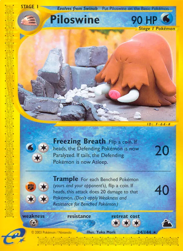 Piloswine Skyridge 24/144