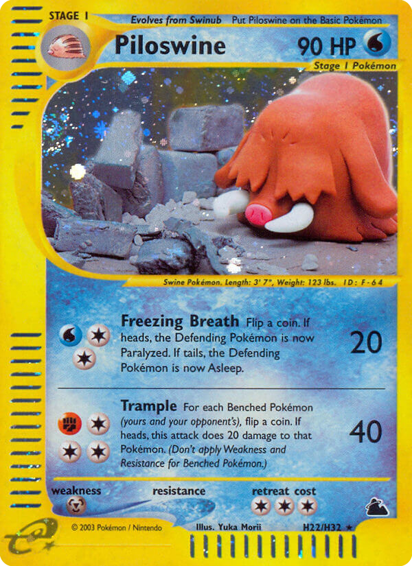 Piloswine Skyridge H22/144