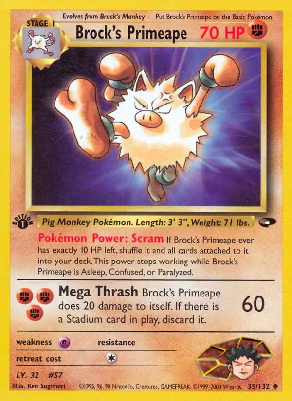 Brock's Primeape Gym Challenge 35/132