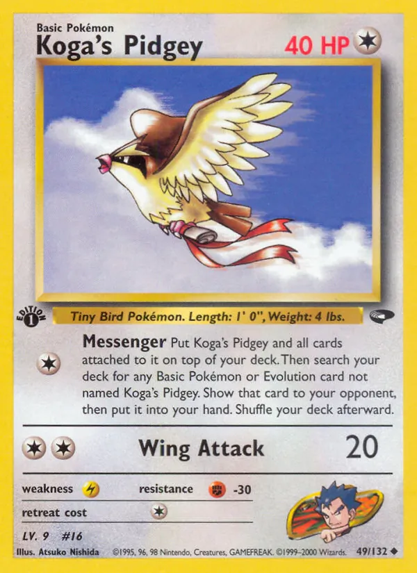 Koga's Pidgey Gym Challenge 49/132