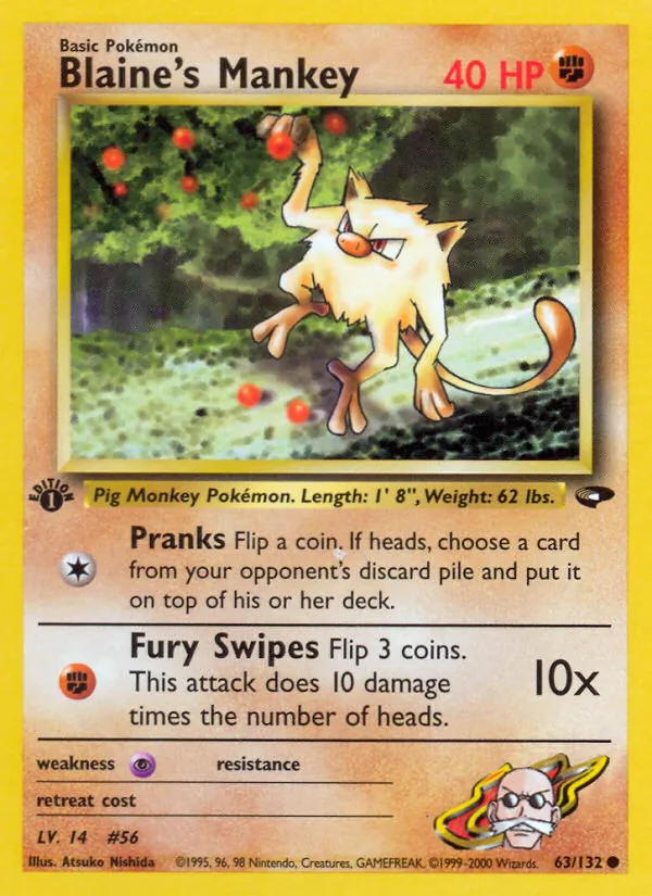Blaine's Mankey Gym Challenge 63/132