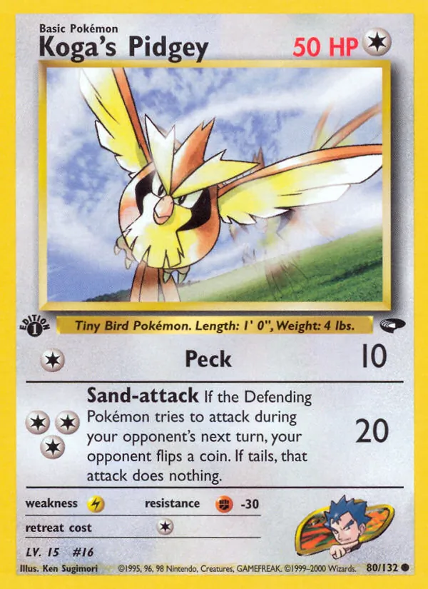 Koga's Pidgey Gym Challenge 80/132
