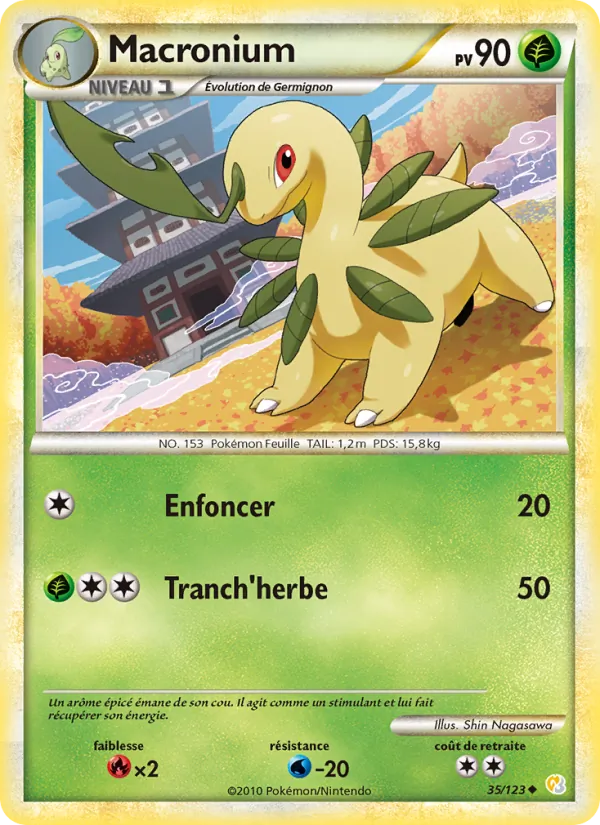 Macronium HeartGold SoulSilver 35/123