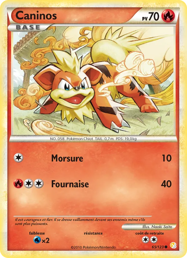 Caninos HeartGold SoulSilver 65/123
