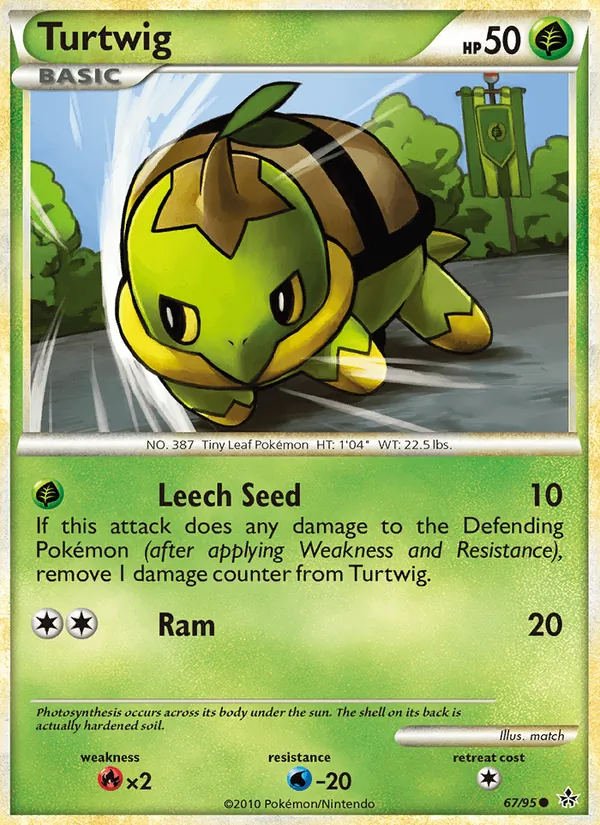 Turtwig Revelado 67/95