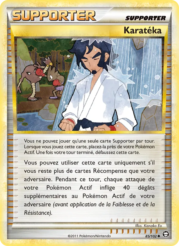 Karatéka Triomphant 85/102