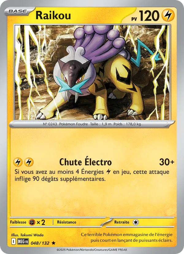 Raikou Méga-Évolution 048/132