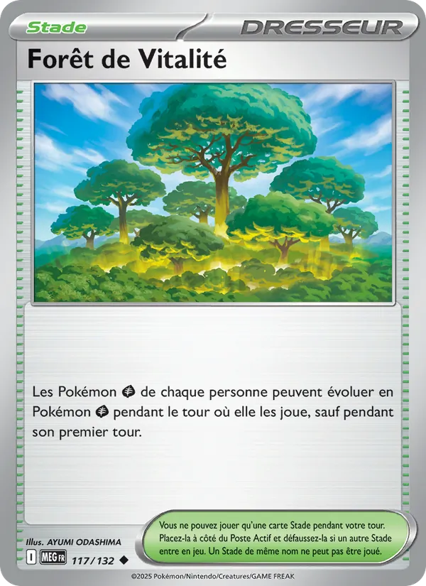 Forêt de Vitalité Méga-Évolution 117/132