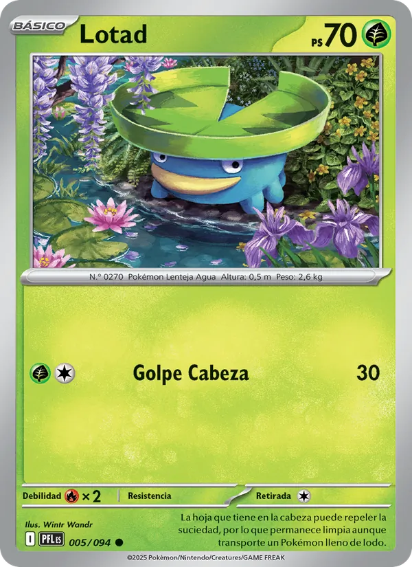 Lotad Fuegos Fantasmales 005/94
