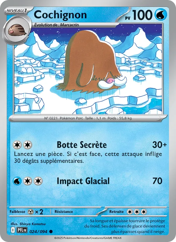 Cochignon Flammes Fantasmagoriques 024/94