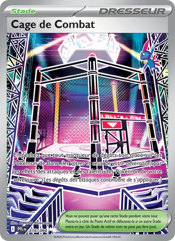 Cage de Combat Flammes Fantasmagoriques 116/94