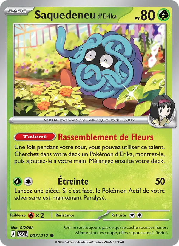Saquedeneu d'Erika Héros Transcendants 007/217