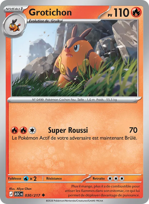Grotichon Héros Transcendants 030/217