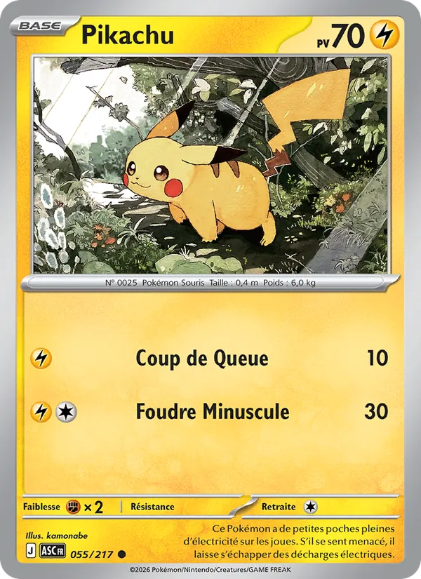 Pikachu Héros Transcendants 055/217