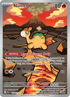 Numel