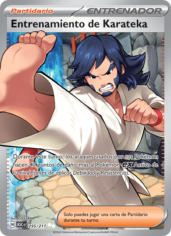 Entrenamiento de Karateka Héroes Ascendentes 255/217