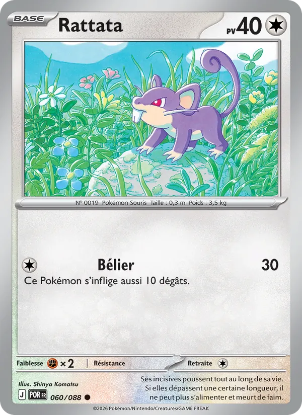 Rattata Équilibre Parfait 060/88