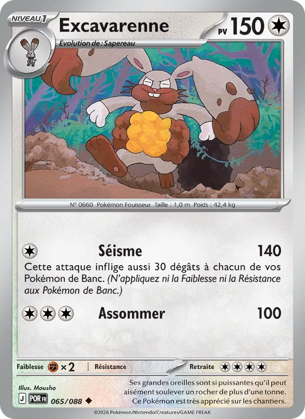 Excavarenne Équilibre Parfait 065/88