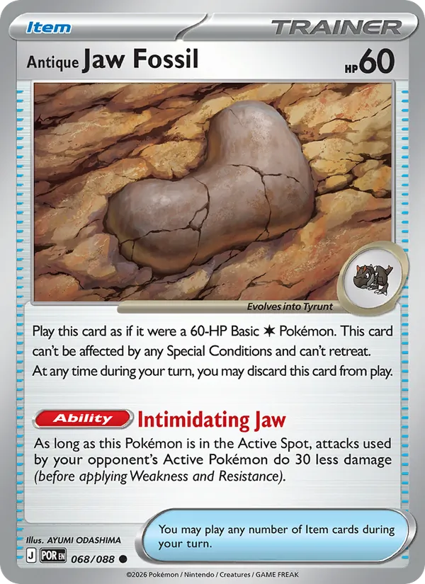 Antique Jaw Fossil Perfect Order 068/88