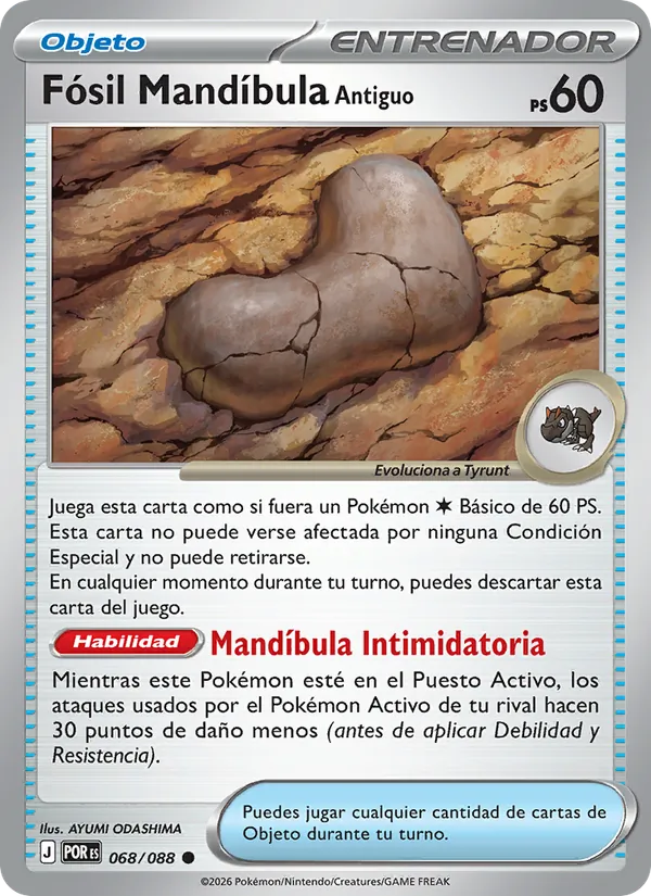 Fósil Mandíbula Antiguo Equilibrio Perfecto 068/88