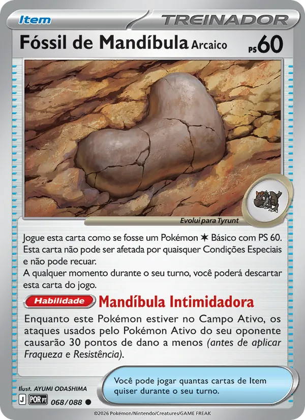Fóssil de Mandíbula Arcaico Equilíbrio Perfeito 068/88