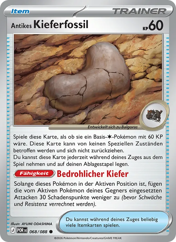 Antikes Kieferfossil Optimale Ordnung 068/88