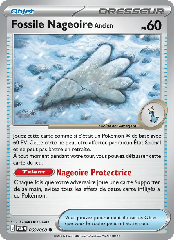 Fossile Nageoire Ancien Équilibre Parfait 069/88