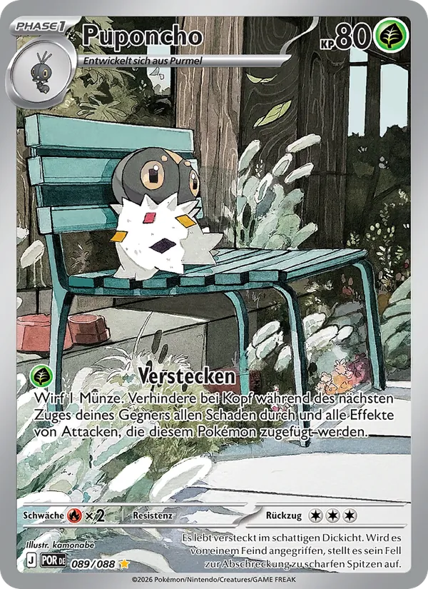 Puponcho Optimale Ordnung 089/88