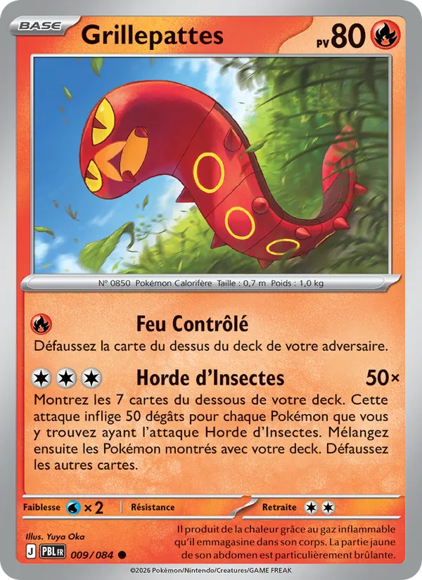 Grillepattes Nuit Noire 009/84