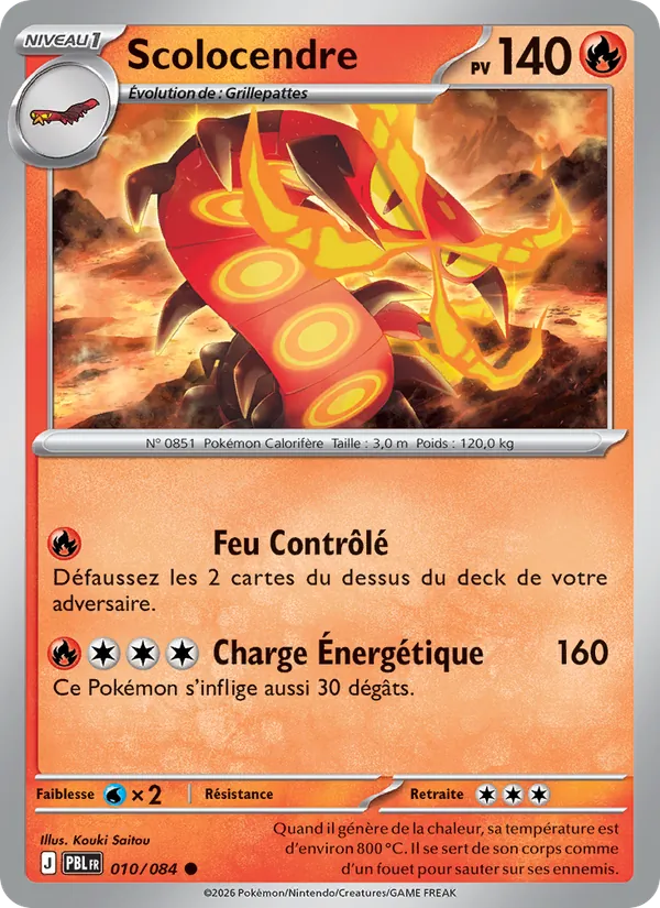 Scolocendre Nuit Noire 010/84