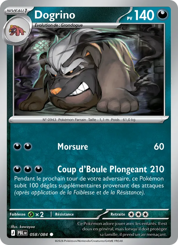 Dogrino Nuit Noire 058/84