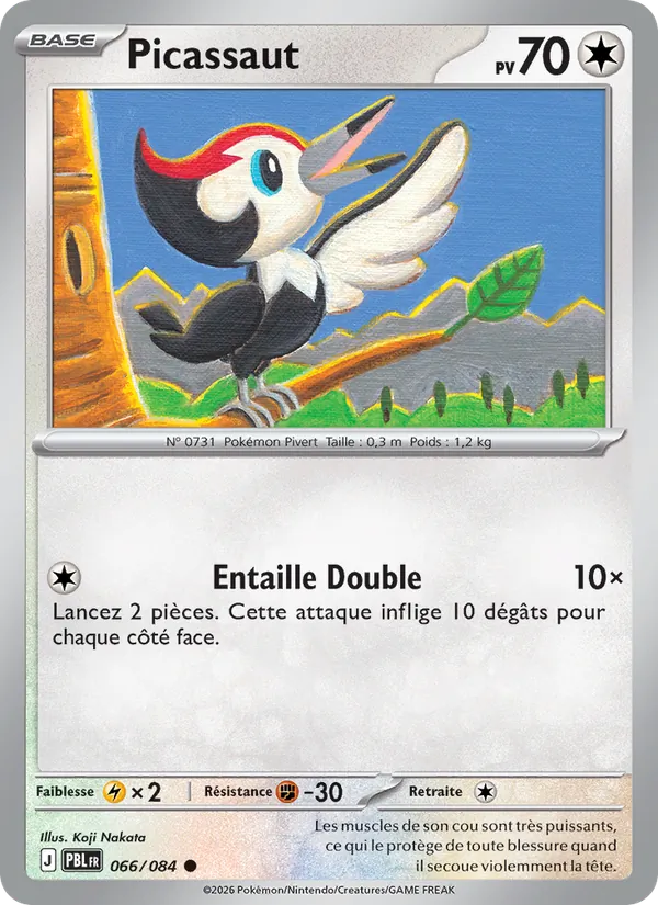 Picassaut Nuit Noire 066/84
