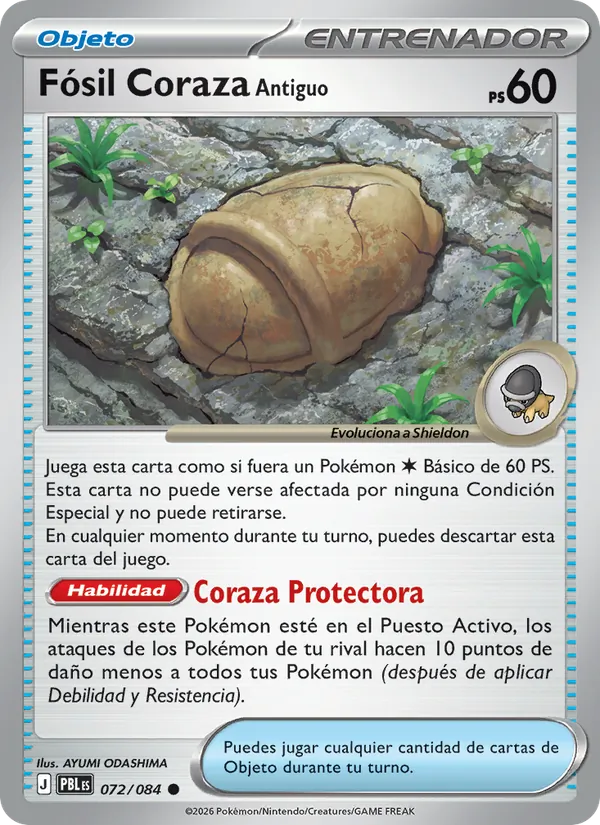 Fósil Coraza Antiguo Oscuridad Absoluta 072/84