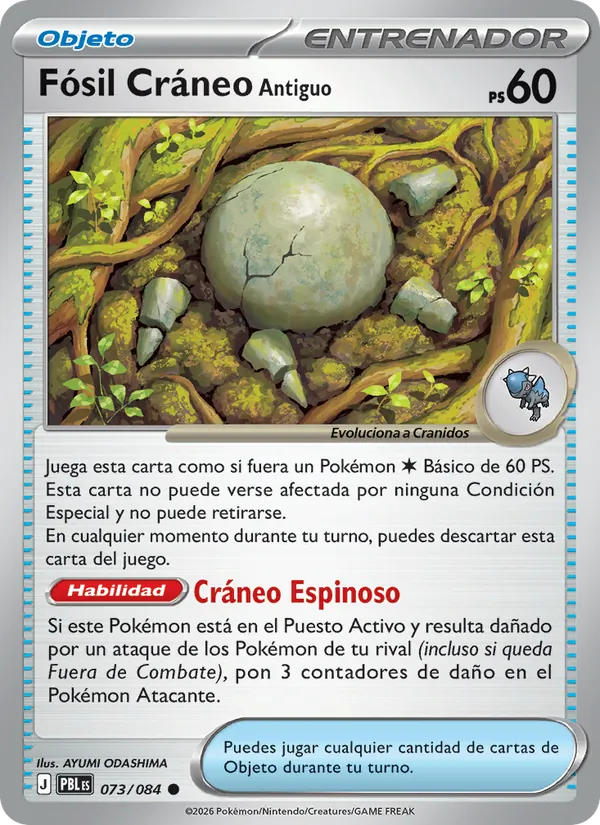 Fósil Cráneo Antiguo Oscuridad Absoluta 073/84