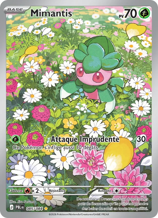 Mimantis Nuit Noire 085/84