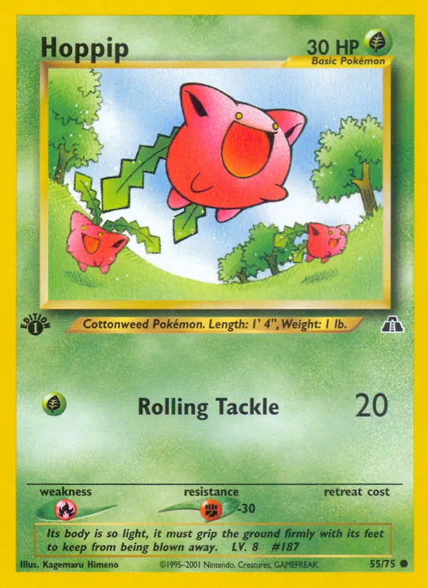 Hoppip Neo Discovery 55/75