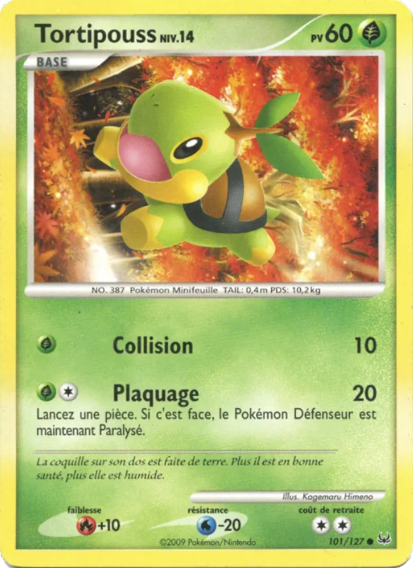 Tortipouss Platine 101/127