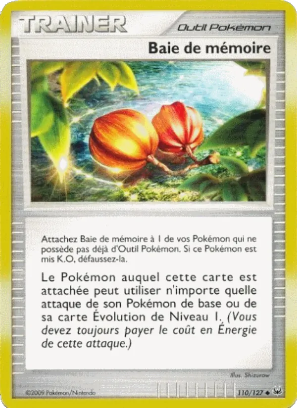 Baie de mémoire Platine 110/127