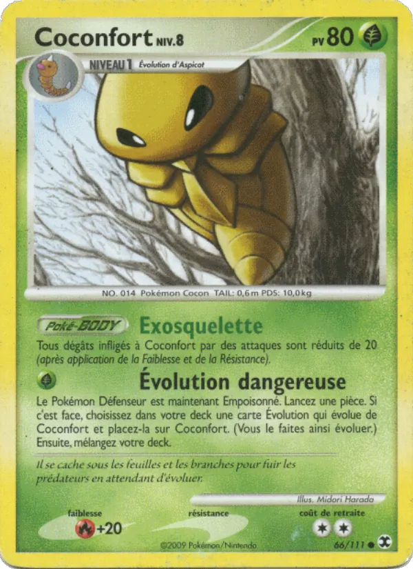 Coconfort Niv. 8 Rivaux Émergeants 66/111