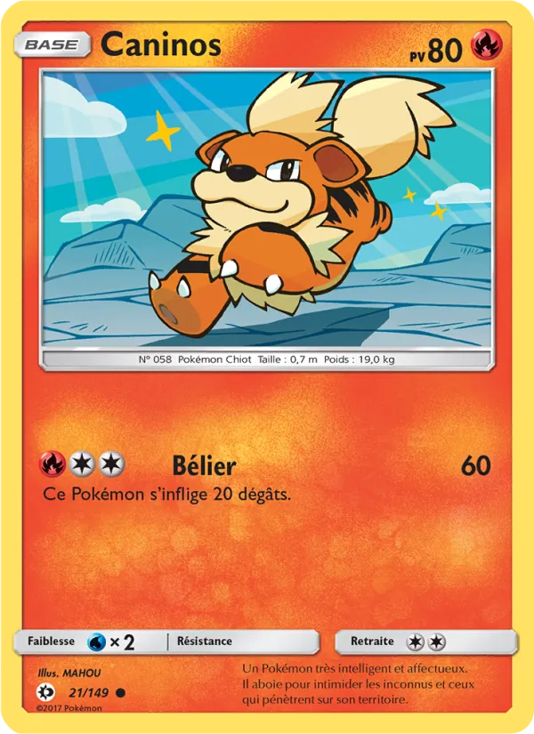 Caninos Soleil et Lune 21/149